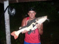 /album/galeria-de-fotos/pira-12-kgs-jpg/